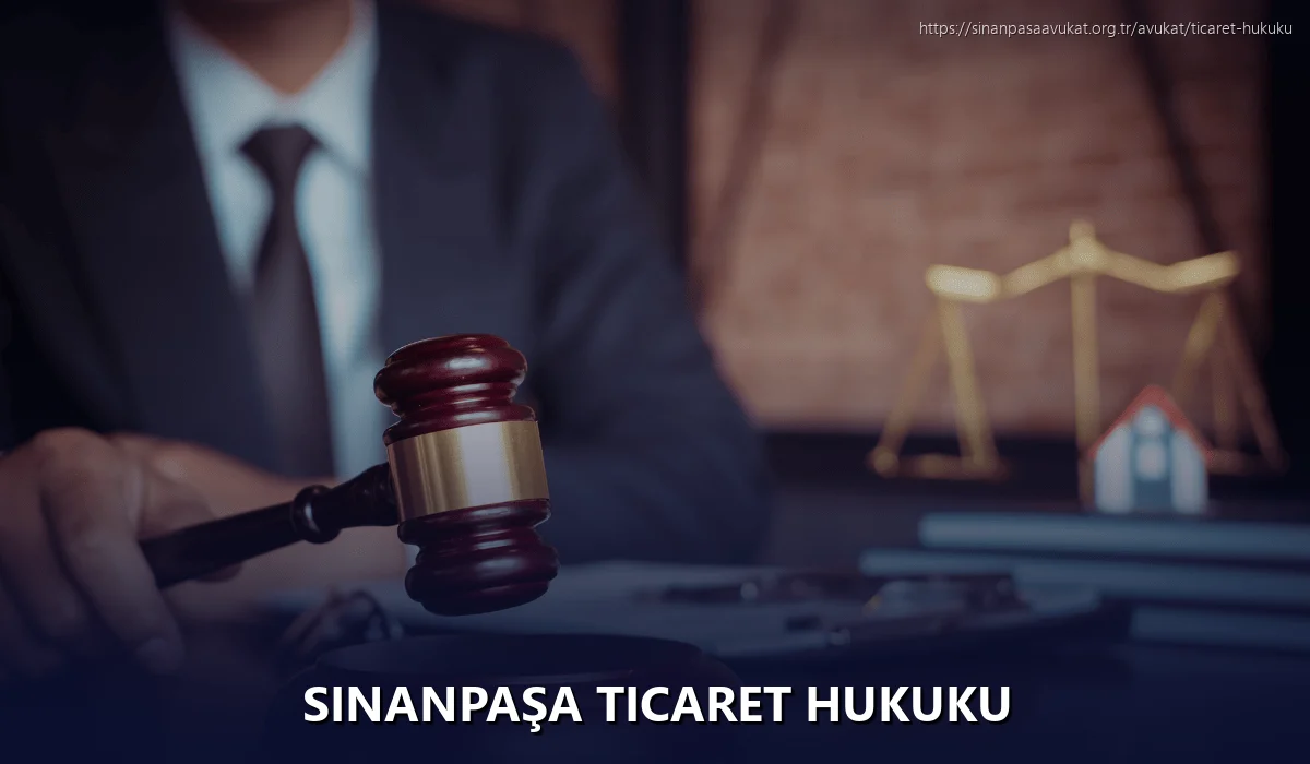 Sinanpaşa Ticaret Hukuku